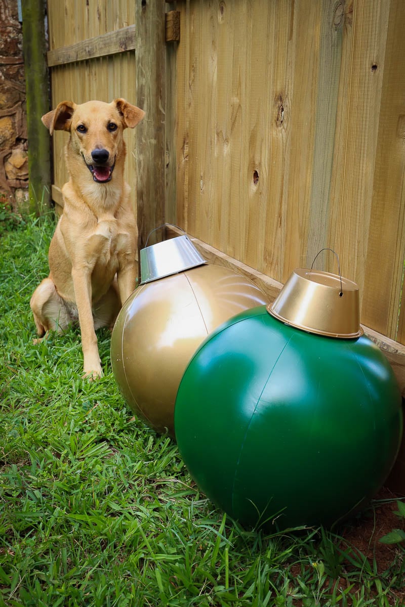 Dog sitting next to giant outdoor bauble decorations