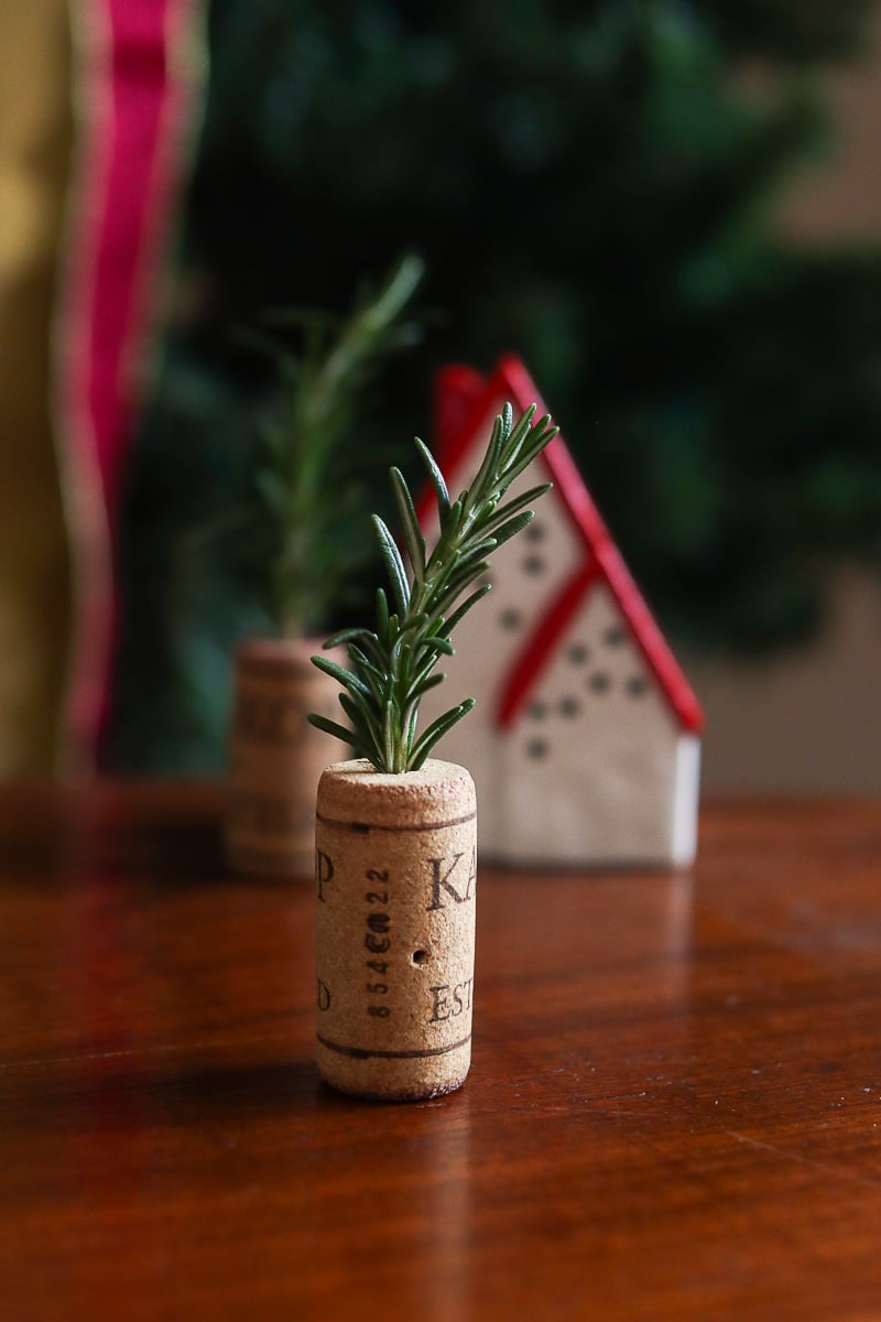 Mini rosemary cork Chritmas tree