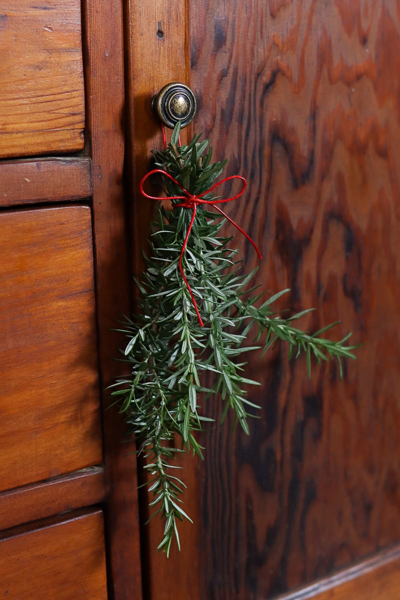 Rosemary bundle tied with red thread