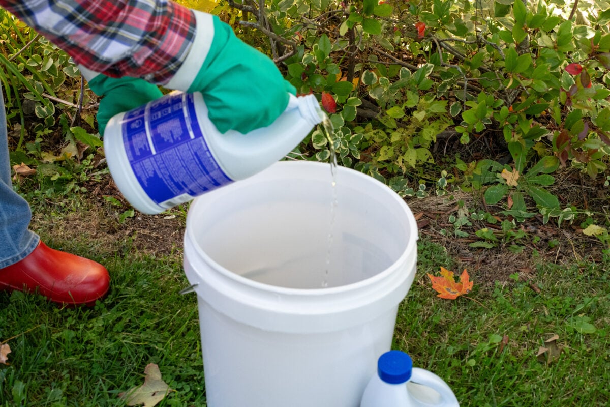 Woman's profile pouring bleach into bucket